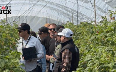 Scout & Pick Iberia Field Tour 2026: Connecting Growers with Raspberry Genetics in Spain and Portugal